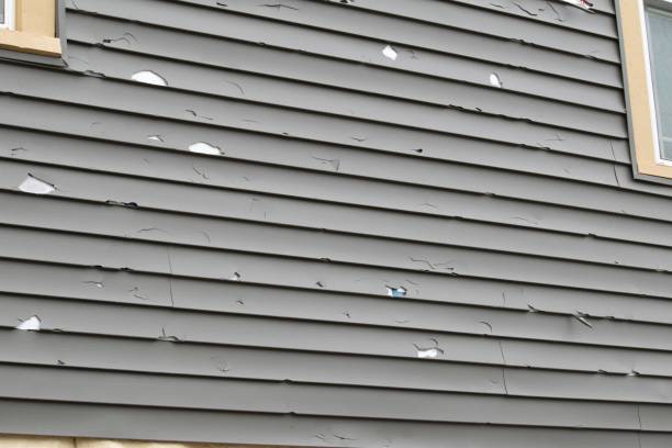 Best Composite Siding  in Madera Ranchos, CA