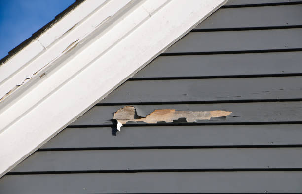 Best Historical Building Siding Restoration  in Madera Ranchos, CA